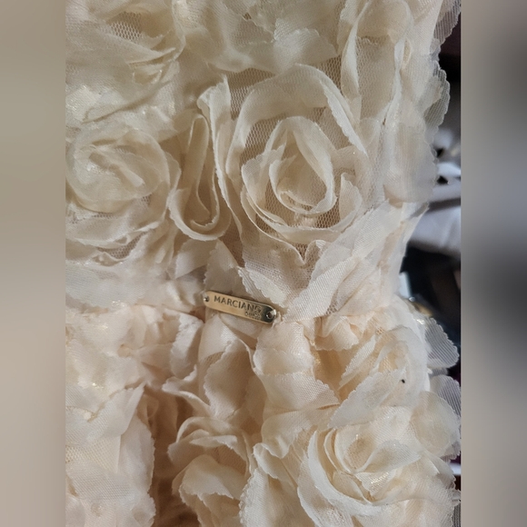 Flower Girl Dress, Roses Gold  ,  PartyDres size 8 - Picture 4 of 14